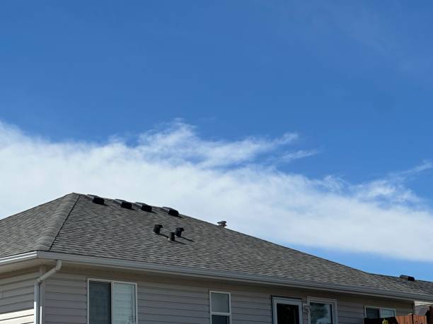 Best Skylight Installation and Repair  in Boiling Springs, SC